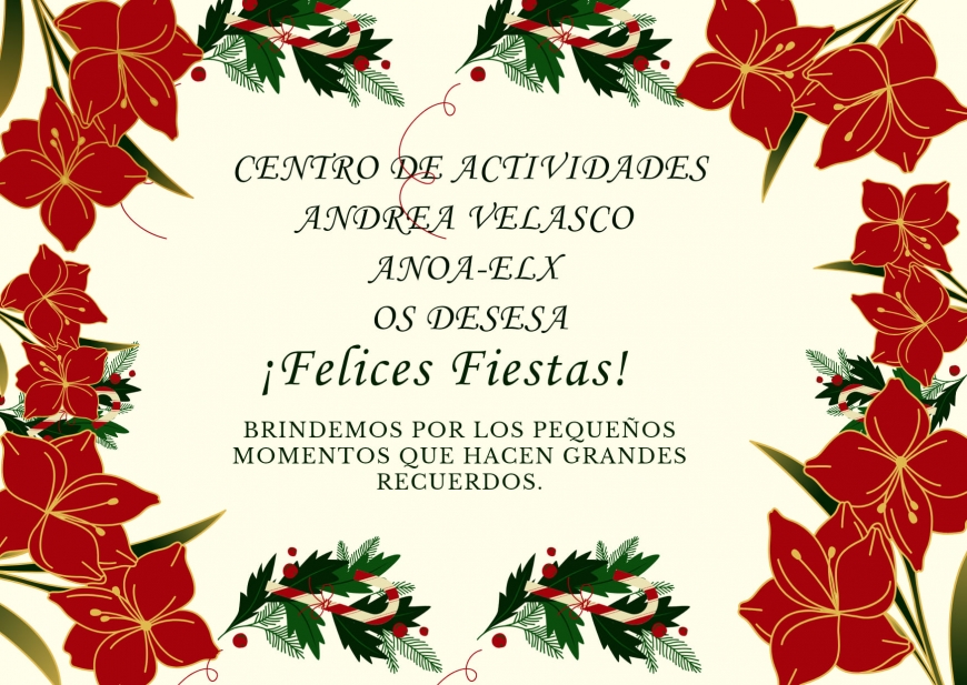 FELICES FIESTAS!!