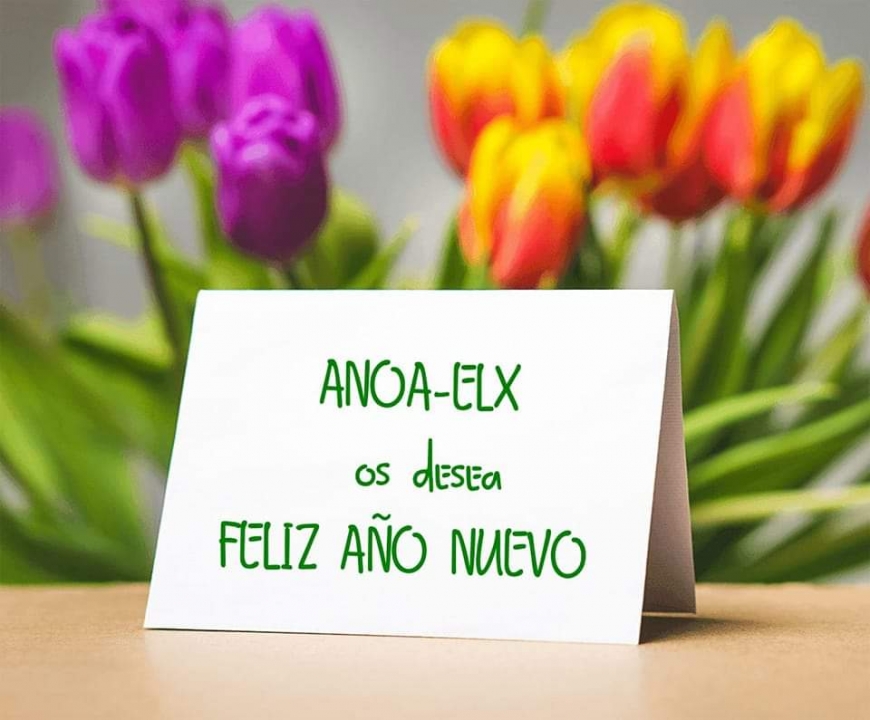 Feliz Año Nuevo 2022!!