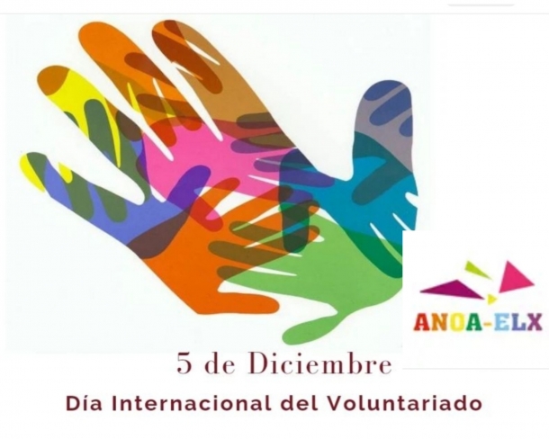 Día del voluntariado 