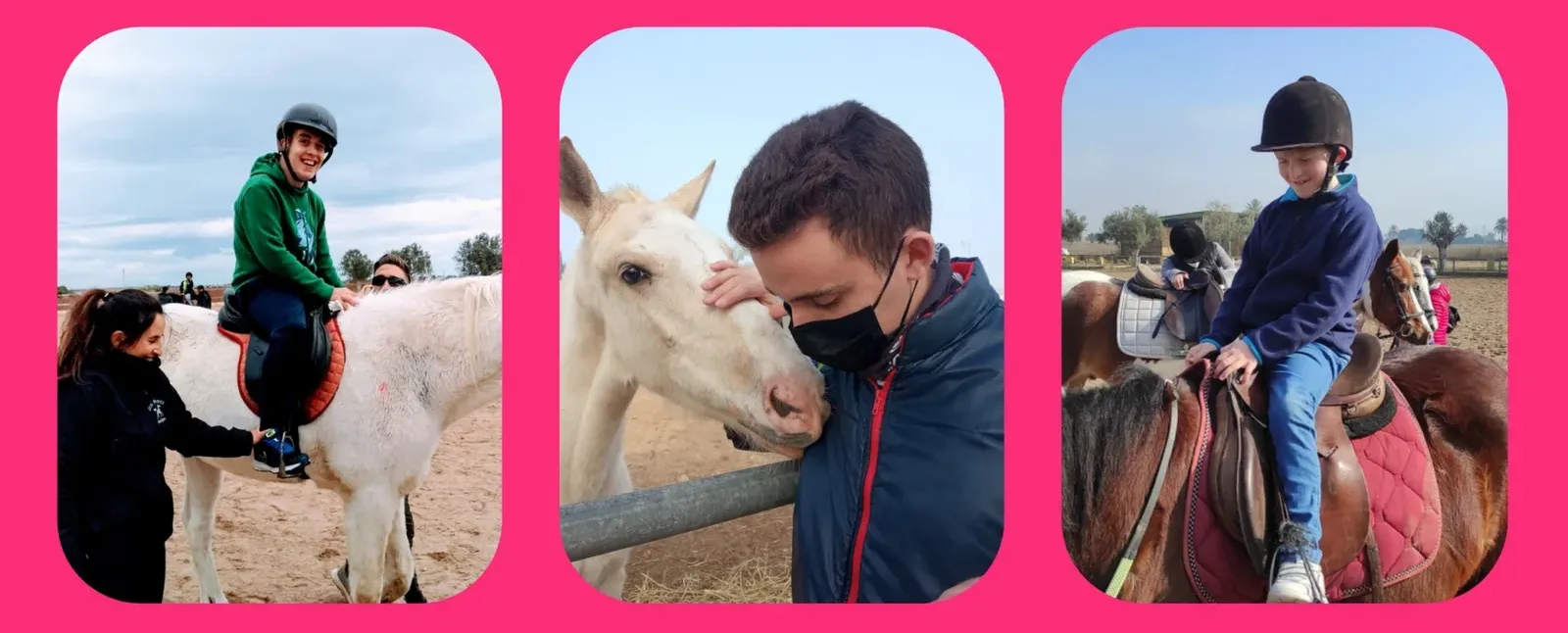 Tres momentos de la actividad de hipoterapia de ANOA ELX con caballos